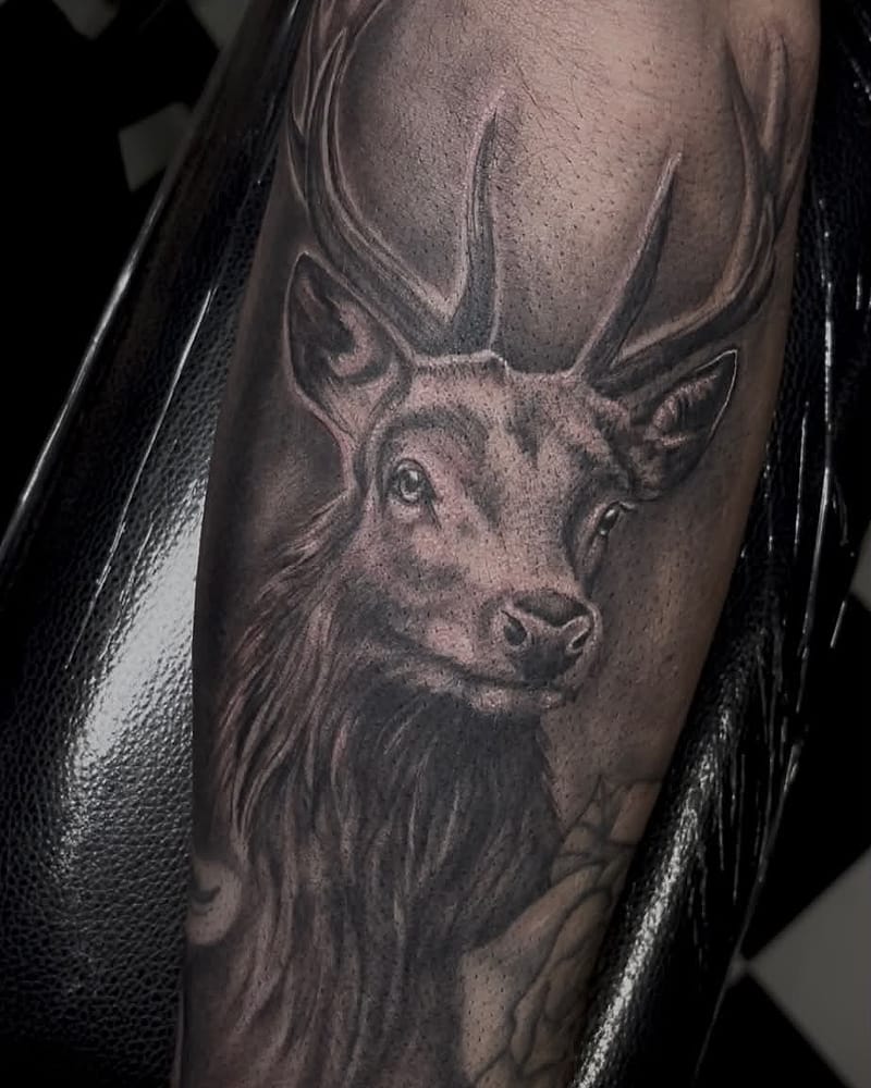 Tête de cerf aux grands bois en réalisme black and grey sur le mollet