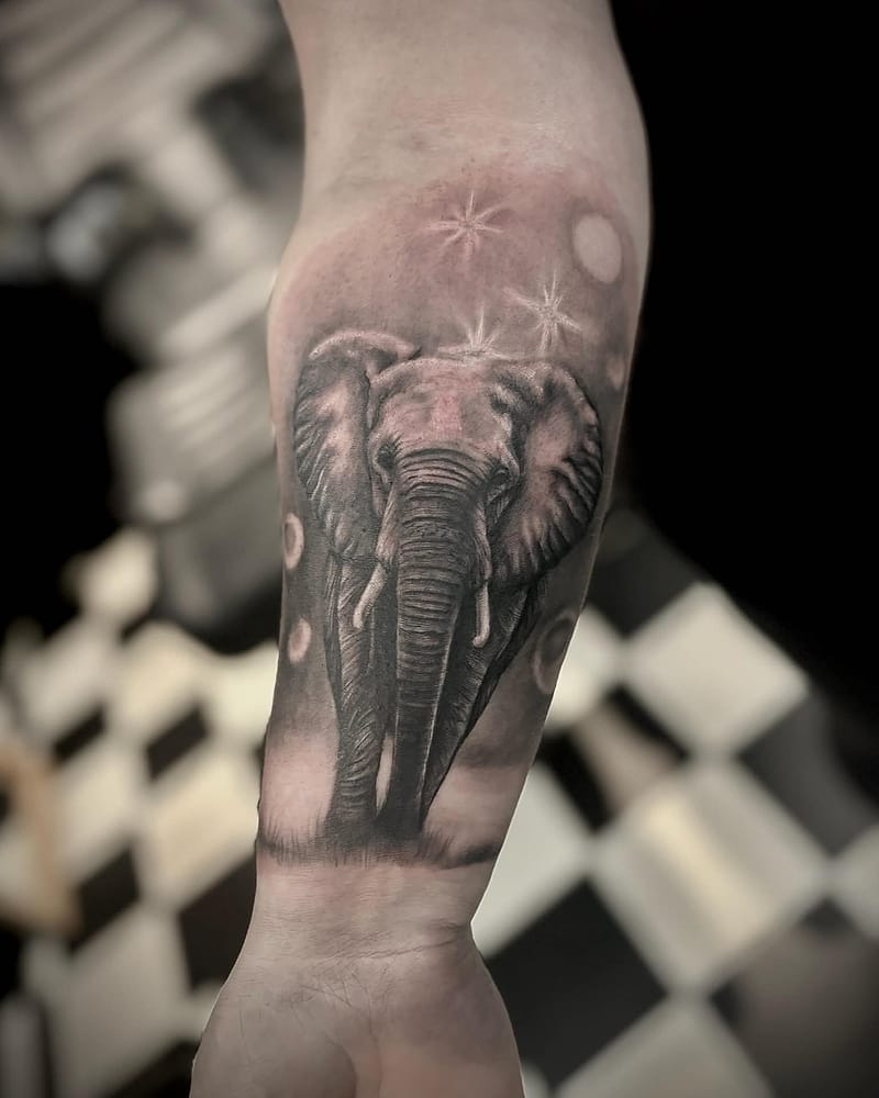Éléphant de face sous des étoiles, réalisme black and grey sur l'avant-bras
